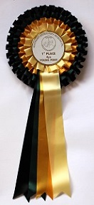 First place 4 year old pony
